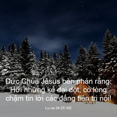 Picture 03 - Lu-ca 24:25 VIE - Đức Chúa Jêsus bèn phán rằng: Hỡi - Bible Verse Picture