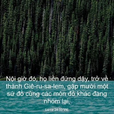 Picture 03 - Lu-ca 24:33 VIE - Nội giờ đó, họ liền đứng dậy, - Bible Verse Picture