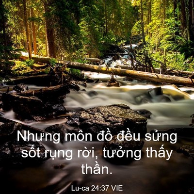 Picture 03 - Lu-ca 24:37 VIE - Nhưng môn đồ đều sửng sốt rụng - Bible Verse Picture