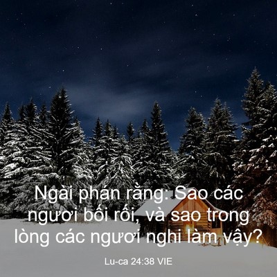 Picture 03 - Lu-ca 24:38 VIE - Ngài phán rằng: Sao các ngươi bối rối, - Bible Verse Picture