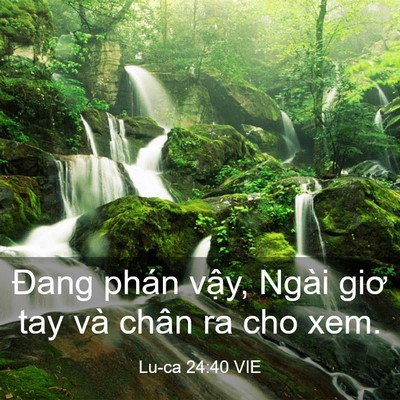 Picture 03 - Lu-ca 24:40 VIE - Đang phán vậy, Ngài giơ tay và chân ra - Bible Verse Picture