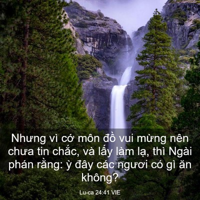 Lu-ca 24:41 VIE - Nhưng vì cớ môn đồ vui mừng nên chưa