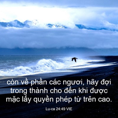 Picture 03 - Lu-ca 24:49 VIE - còn về phần các ngươi, hãy đợi trong - Bible Verse Picture