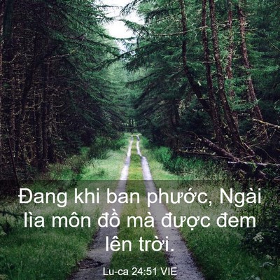 Picture 03 - Lu-ca 24:51 VIE - Đang khi ban phước, Ngài lìa môn đồ mà - Bible Verse Picture