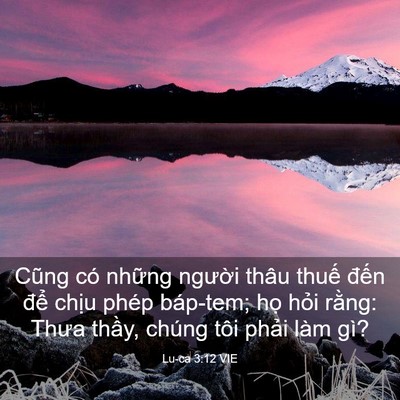 Picture 03 - Lu-ca 3:12 VIE - Cũng có những người thâu thuế đến - Bible Verse Picture