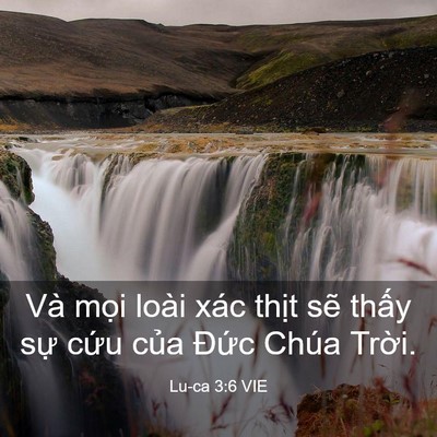 Picture 03 - Lu-ca 3:6 VIE - Và mọi loài xác thịt sẽ thấy sự - Bible Verse Picture
