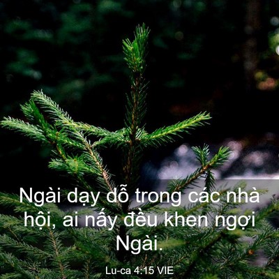 Picture 03 - Lu-ca 4:15 VIE - Ngài dạy dỗ trong các nhà hội, ai nấy - Bible Verse Picture