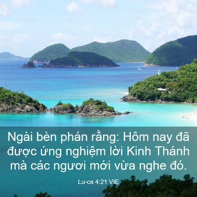 Picture 03 - Lu-ca 4:21 VIE - Ngài bèn phán rằng: Hôm nay đã được - Bible Verse Picture