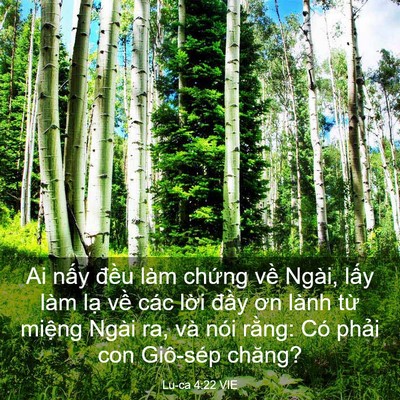Picture 03 - Lu-ca 4:22 VIE - Ai nấy đều làm chứng về Ngài, lấy - Bible Verse Picture