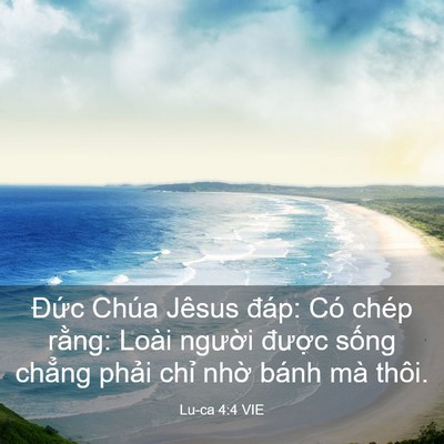 Picture 03 - Lu-ca 4:4 VIE - Đức Chúa Jêsus đáp: Có chép rằng: - Bible Verse Picture
