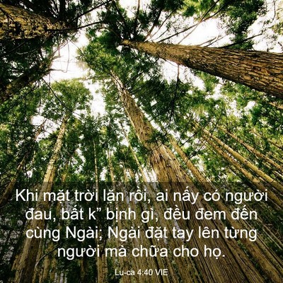 Picture 03 - Lu-ca 4:40 VIE - Khi mặt trời lặn rồi, ai nấy có - Bible Verse Picture