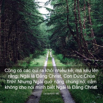 Picture 03 - Lu-ca 4:41 VIE - Cũng có các quỉ ra khỏi nhiều kẻ, mà - Bible Verse Picture