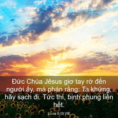 Picture 03 - Lu-ca 5:13 VIE - Đức Chúa Jêsus giơ tay rờ đến người - Bible Verse Picture