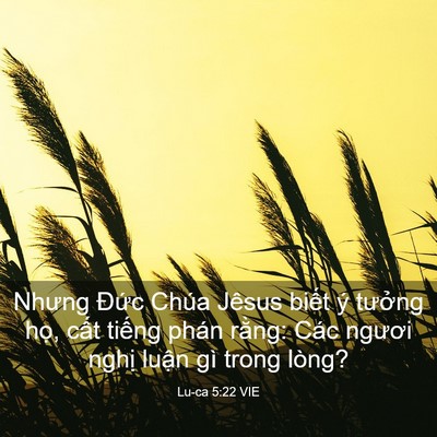 Picture 03 - Lu-ca 5:22 VIE - Nhưng Đức Chúa Jêsus biết ý tưởng - Bible Verse Picture