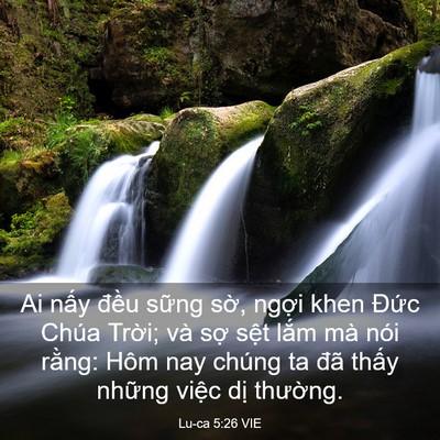 Picture 03 - Lu-ca 5:26 VIE - Ai nấy đều sững sờ, ngợi khen Đức - Bible Verse Picture
