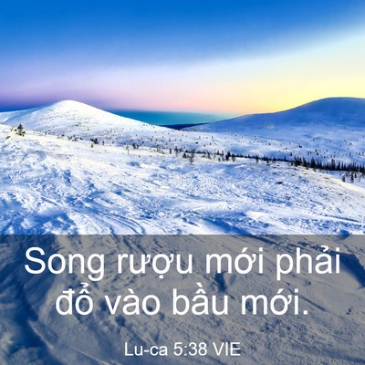 Picture 03 - Lu-ca 5:38 VIE - Song rượu mới phải đổ vào bầu - Bible Verse Picture