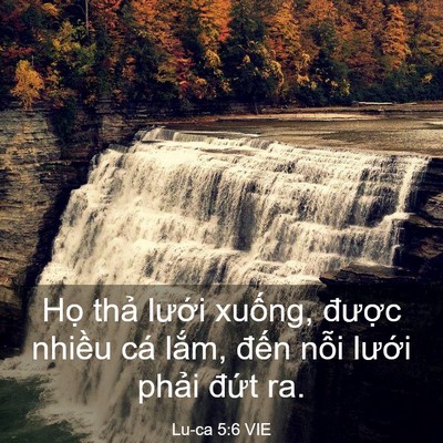 Picture 03 - Lu-ca 5:6 VIE - Họ thả lưới xuống, được nhiều cá - Bible Verse Picture
