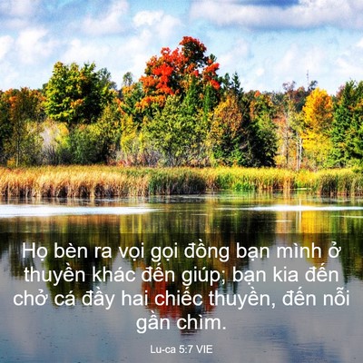 Picture 03 - Lu-ca 5:7 VIE - Họ bèn ra vọi gọi đồng bạn mình ở - Bible Verse Picture