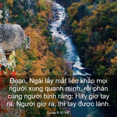 Picture 03 - Lu-ca 6:10 VIE - Đoạn, Ngài lấy mắt liếc khắp mọi - Bible Verse Picture