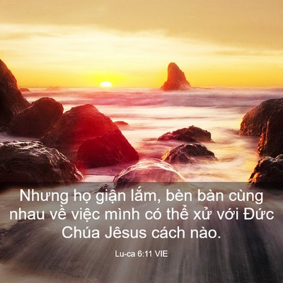 Picture 03 - Lu-ca 6:11 VIE - Nhưng họ giận lắm, bèn bàn cùng nhau - Bible Verse Picture