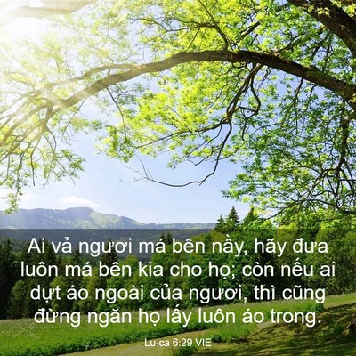 Picture 03 - Lu-ca 6:29 VIE - Ai vả ngươi má bên nầy, hãy đưa luôn - Bible Verse Picture