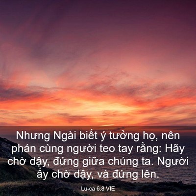 Picture 03 - Lu-ca 6:8 VIE - Nhưng Ngài biết ý tưởng họ, nên phán - Bible Verse Picture