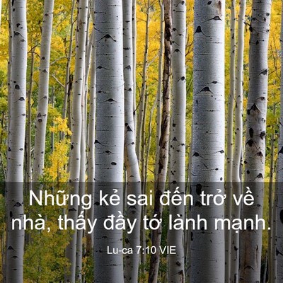 Picture 03 - Lu-ca 7:10 VIE - Những kẻ sai đến trở về nhà, thấy - Bible Verse Picture