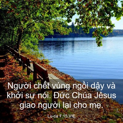Picture 03 - Lu-ca 7:15 VIE - Người chết vùng ngồi dậy và khởi - Bible Verse Picture