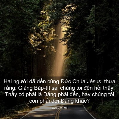 Picture 03 - Lu-ca 7:20 VIE - Hai người đã đến cùng Đức Chúa - Bible Verse Picture