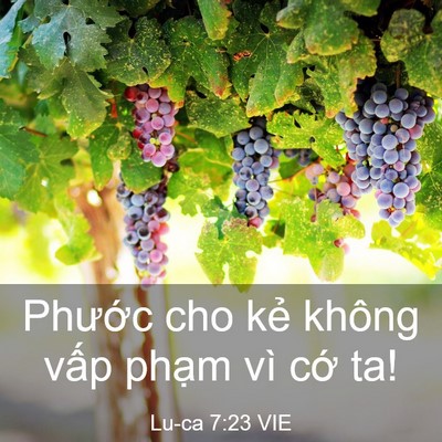 Picture 03 - Lu-ca 7:23 VIE - Phước cho kẻ không vấp phạm vì cớ - Bible Verse Picture