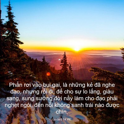 Picture 03 - Lu-ca 8:14 VIE - Phần rơi vào bụi gai, là những kẻ đã - Bible Verse Picture