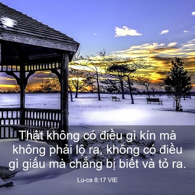 Picture 03 - Lu-ca 8:17 VIE - Thật không có điều gì kín mà không - Bible Verse Picture