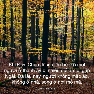 Picture 03 - Lu-ca 8:27 VIE - Khi Đức Chúa Jêsus lên bờ, có một - Bible Verse Picture