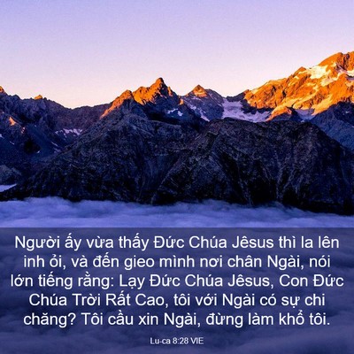 Picture 03 - Lu-ca 8:28 VIE - Người ấy vừa thấy Đức Chúa Jêsus - Bible Verse Picture