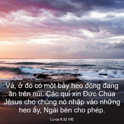 Picture 03 - Lu-ca 8:32 VIE - Vả, ở đó có một bầy heo đông đang - Bible Verse Picture