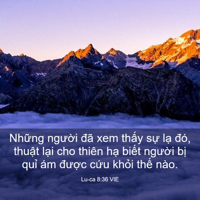 Picture 03 - Lu-ca 8:36 VIE - Những người đã xem thấy sự lạ đó, - Bible Verse Picture
