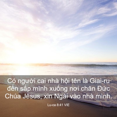 Picture 03 - Lu-ca 8:41 VIE - Có người cai nhà hội tên là Giai-ru - Bible Verse Picture