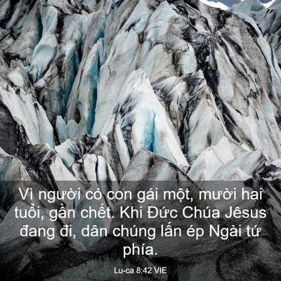 Picture 03 - Lu-ca 8:42 VIE - Vì người có con gái một, mười hai - Bible Verse Picture