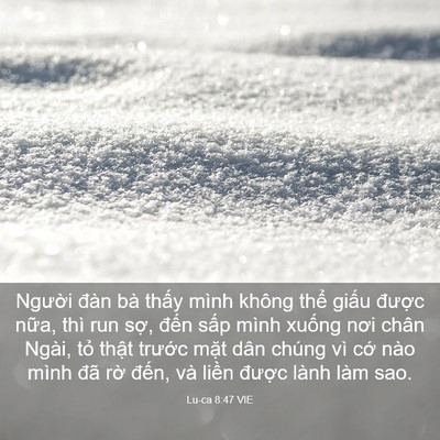Picture 03 - Lu-ca 8:47 VIE - Người đàn bà thấy mình không thể - Bible Verse Picture