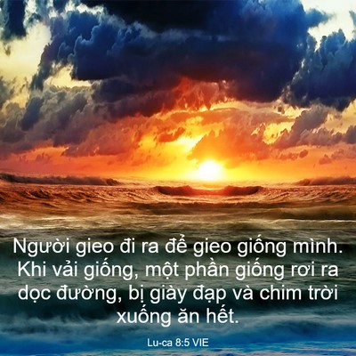 Picture 03 - Lu-ca 8:5 VIE - Người gieo đi ra để gieo giống mình. - Bible Verse Picture