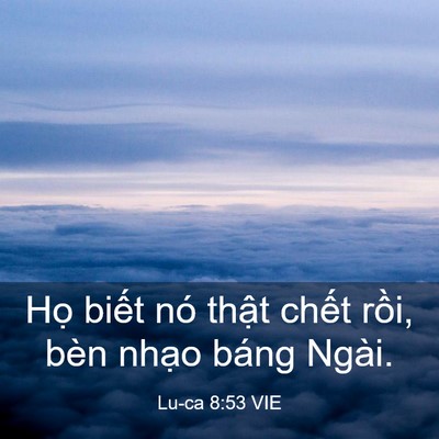 Picture 03 - Lu-ca 8:53 VIE - Họ biết nó thật chết rồi, bèn nhạo - Bible Verse Picture