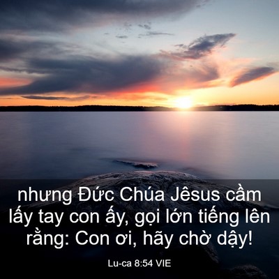 Picture 03 - Lu-ca 8:54 VIE - nhưng Đức Chúa Jêsus cầm lấy tay con - Bible Verse Picture
