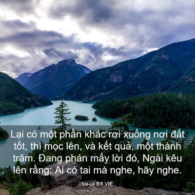 Picture 03 - Lu-ca 8:8 VIE - Lại có một phần khác rơi xuống nơi - Bible Verse Picture