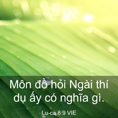 Picture 03 - Lu-ca 8:9 VIE - Môn đồ hỏi Ngài thí dụ ấy có nghĩa - Bible Verse Picture