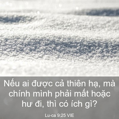 Picture 03 - Lu-ca 9:25 VIE - Nếu ai được cả thiên hạ, mà chính - Bible Verse Picture