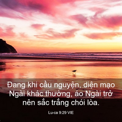 Picture 03 - Lu-ca 9:29 VIE - Đang khi cầu nguyện, diện mạo Ngài - Bible Verse Picture