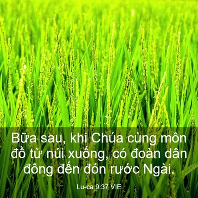 Picture 03 - Lu-ca 9:37 VIE - Bữa sau, khi Chúa cùng môn đồ từ núi - Bible Verse Picture
