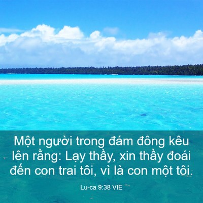 Picture 03 - Lu-ca 9:38 VIE - Một người trong đám đông kêu lên - Bible Verse Picture