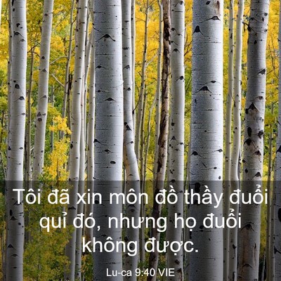 Picture 03 - Lu-ca 9:40 VIE - Tôi đã xin môn đồ thầy đuổi quỉ - Bible Verse Picture