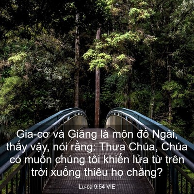 Picture 03 - Lu-ca 9:54 VIE - Gia-cơ và Giăng là môn đồ Ngài, thấy - Bible Verse Picture